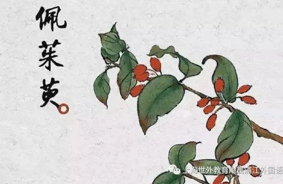 世外浦江中国传统文化系列宣传之重阳节